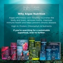 recoverybits---organic-chlorella-tablets-2.jpg