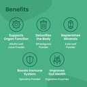 mixhers-hergreens---greens-veggie-powder-2.jpg