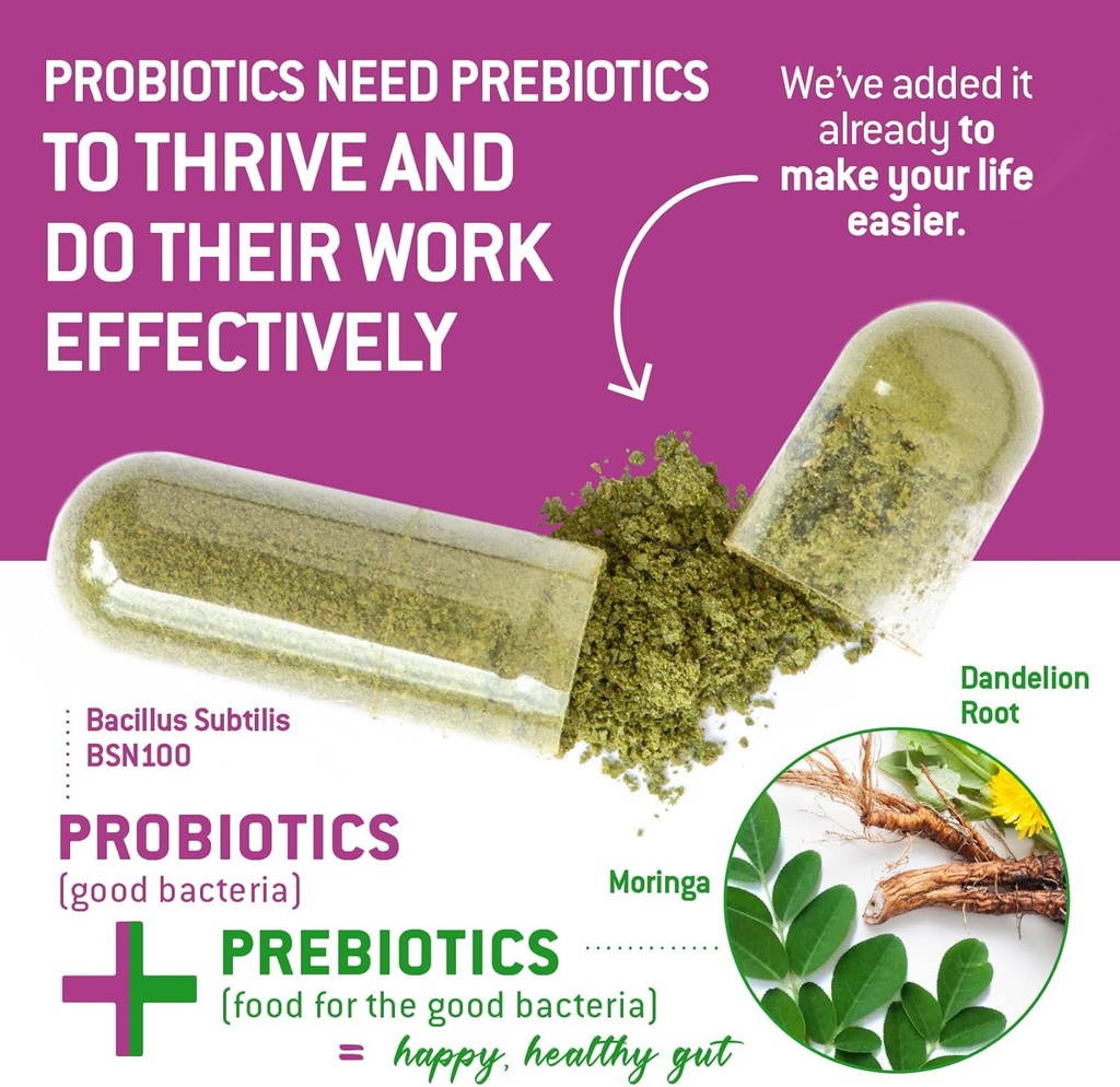 bacillus-subtilis-spore-based-probiotic--4.jpg