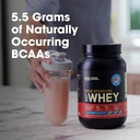 optimum-nutrition-new-flavor-gold-standa-6.jpg