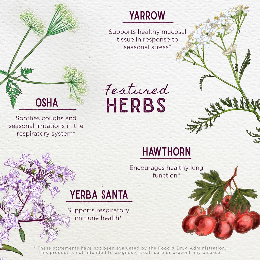 wishgarden-herbs-deep-lung-bronchial-sup-4.jpg