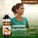 nootropic-mushrooms-lions-mane-lions-man-4.jpg