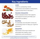 gundry-md-power-phenols-brain-health-sup-4.jpg