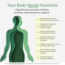 organixx-greens-superfood-powder-with-pr-6.jpg