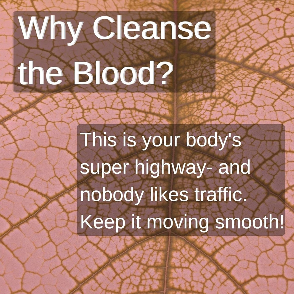 speedyvite-blood-lifeboost-tea-cleanses--4.jpg