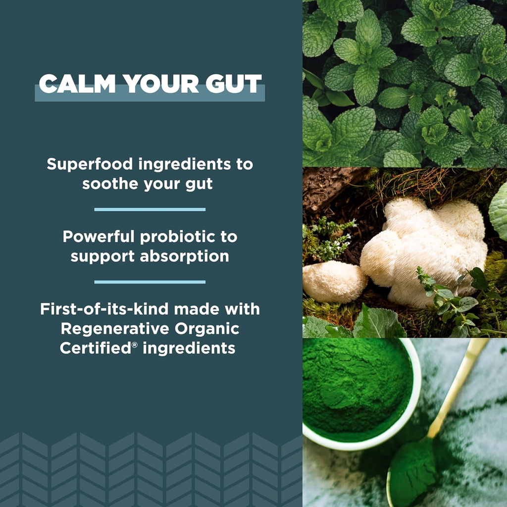 ancient-nutrition-gut-health-supplement--4.jpg