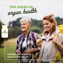 swanson-copper-antioxidant-immune-system-2.jpg