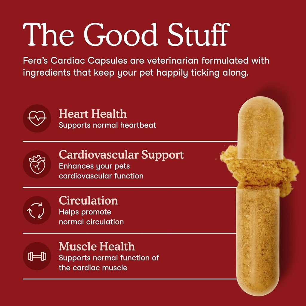 fera-pets-cardiac-support---cat-dog-hear-3.jpg