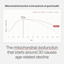 timeline-mitopure-urolithin-a-supplement-5.jpg