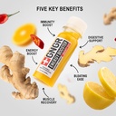 gngr-energy-booster-immunity-shot-cold-p-2.jpg