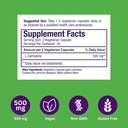 paradise-herbs-l-carnosine-super-potent--5.jpg