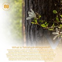 nootropics-depot-tetrahydromagnolol-quic-5.jpg