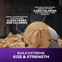 muscletech-high-protein-mass-gainer-vani-4.jpg