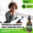 herbify-lemon-balm-tincture---melissa-of-3.jpg