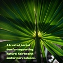 saw-palmetto-supplement-with-pumpkin-see-6.jpg