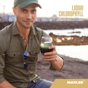 maxler-chlorophyll-liquid-mint-flavor----6.jpg