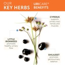 himalaya-uricare-herbal-kidney-bladder-s-4.jpg