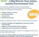 naturecity-true-joint-flx-joint-suppleme-5.jpg