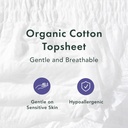 rael-disposable-underwear-for-women-orga-3.jpg