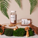 nature-restore-agaricus-blazei-murill-ex-4.jpg
