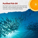 barleans-omega-3-fish-oil-liquid-supplem-4.jpg