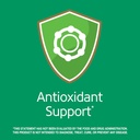 21st-century-e-400-iu-dl-alpha-softgels--2.jpg