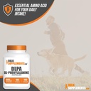 bulksupplementscom-dl-phenylalanine-caps-3.jpg