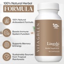 vita-green-lingzhi-mushroom-supplement---4.jpg