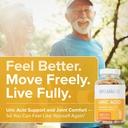 uric-acid-cleanse-premium-uric-acid-flus-2.jpg