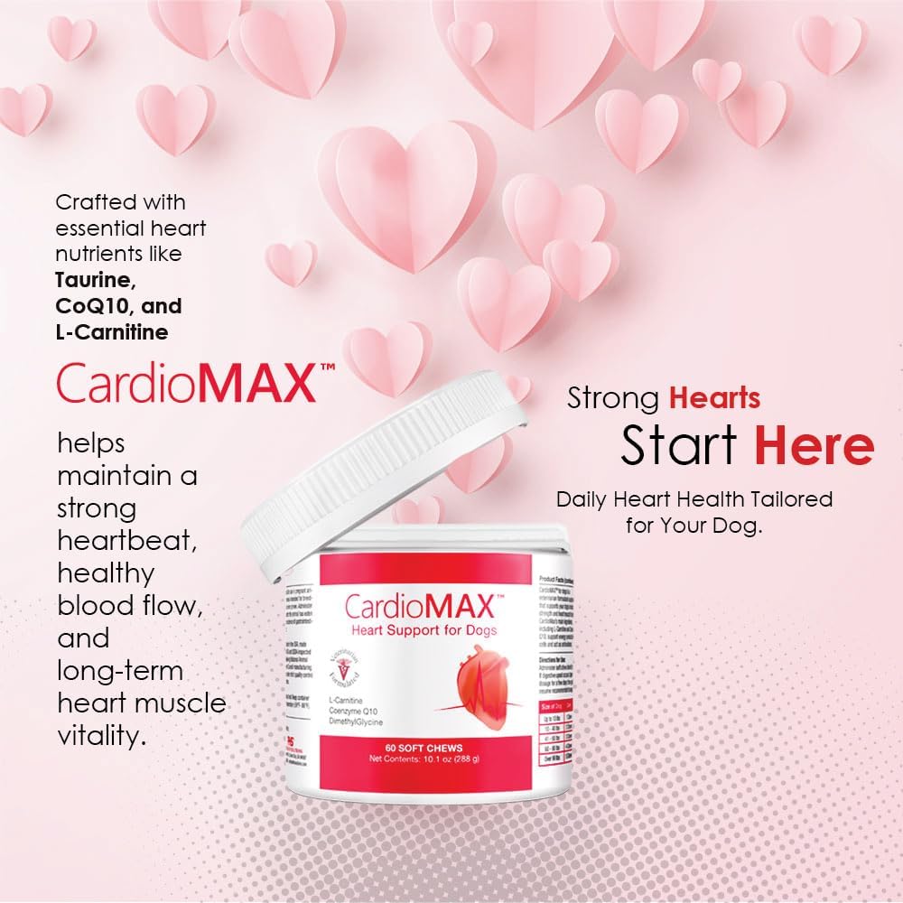 heart-support-supplement-for-dogs-vet-fo-3.jpg