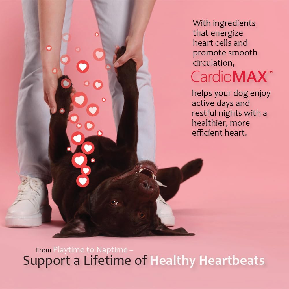 heart-support-supplement-for-dogs-vet-fo-5.jpg