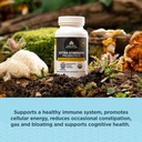 ancient-nutrition-regenerative-organic-c-2.jpg