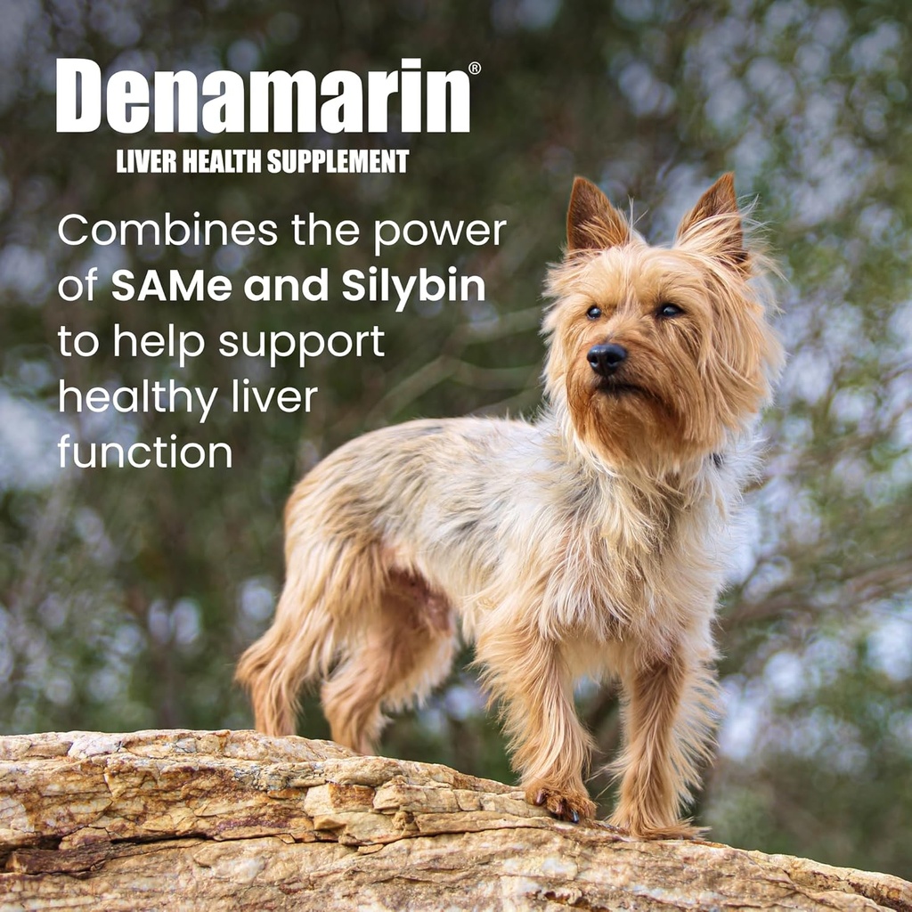 nutramax-laboratories-denamarin-liver-he-2.jpg