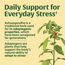 megafood-thyroid-strength---mineral-supp-5.jpg