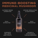 surthrival-chaga-mushroom-extract-forage-3.jpg