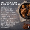 surthrival-chaga-mushroom-extract-forage-5.jpg
