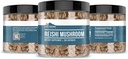 earthborn-elements-reishi-mushroom-200-c-4.jpg