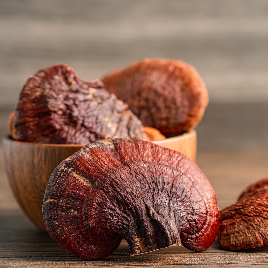 earthborn-elements-reishi-mushroom-200-c-5.jpg