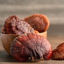 earthborn-elements-reishi-mushroom-200-c-5.jpg