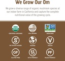 om-mushroom-superfood-turkey-tail-organi-5.jpg