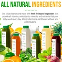 10-day-juice-cleanse-by-raw-fountain-all-4.jpg
