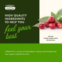 swanson-full-spectrum-coffee-cherry-herb-5.jpg