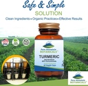 turmeric-capsules-with-black-pepper-extr-3.jpg