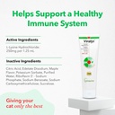vetoquinol-viralys-daily-l-lysine-gel-fo-2.jpg
