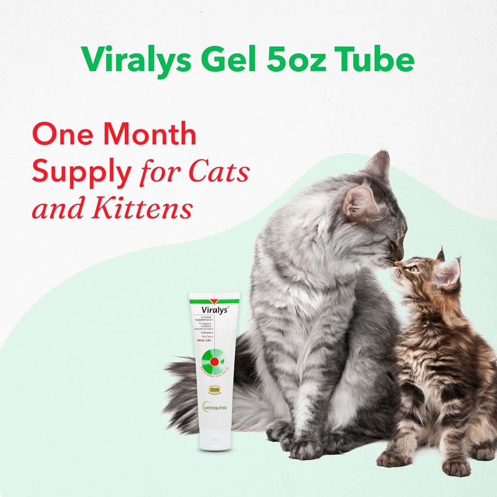 vetoquinol-viralys-daily-l-lysine-gel-fo-6.jpg