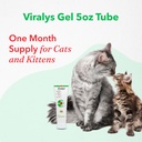 vetoquinol-viralys-daily-l-lysine-gel-fo-6.jpg