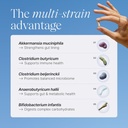 pendulum-metabolic-daily---multi-strain--5.jpg