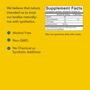 north-american-herb-spice-black-seed-gum-4.jpg