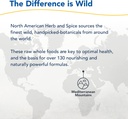 north-american-herb-spice-black-seed-gum-6.jpg