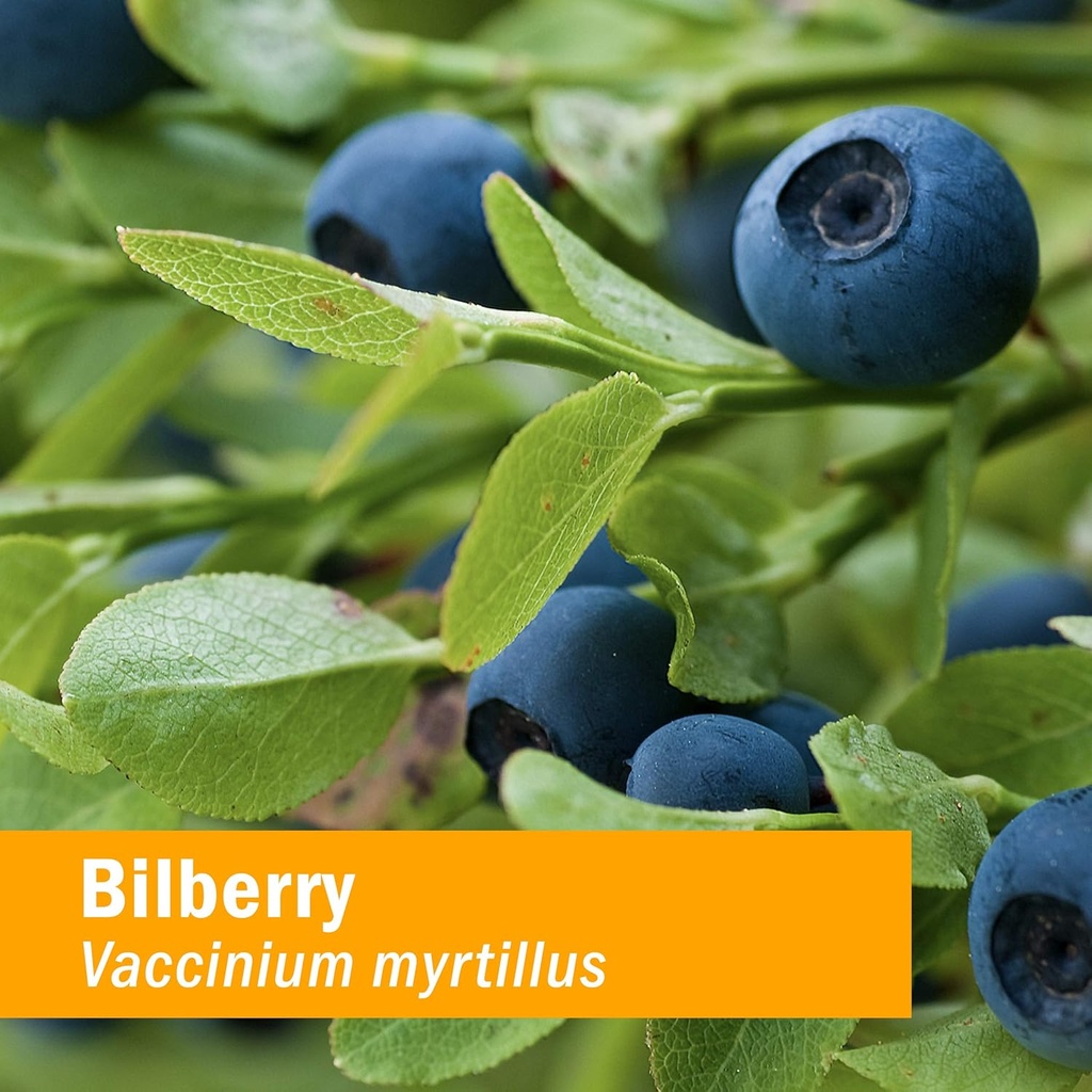 herb-pharm-bilberry-liquid-extract-for-e-2.jpg